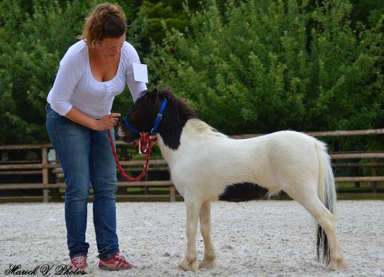 Divine Diablesse des Merveilles - Saillenard 2014 - France