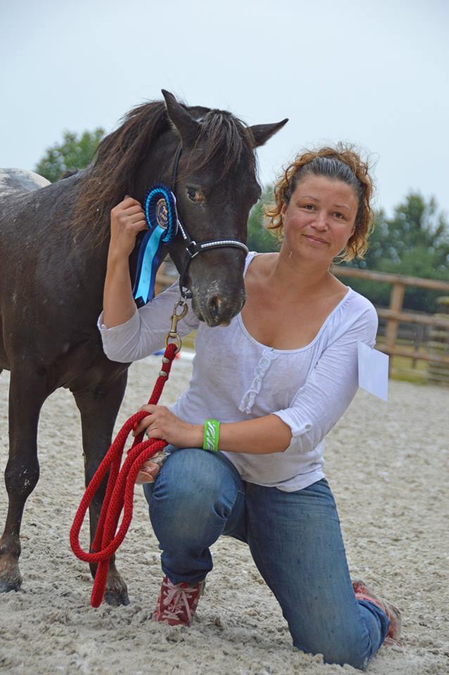 lovely saillenard 2014 étalon 4 ans remise prix 