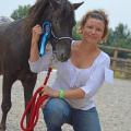 lovely saillenard 2014 étalon 4 ans remise prix 