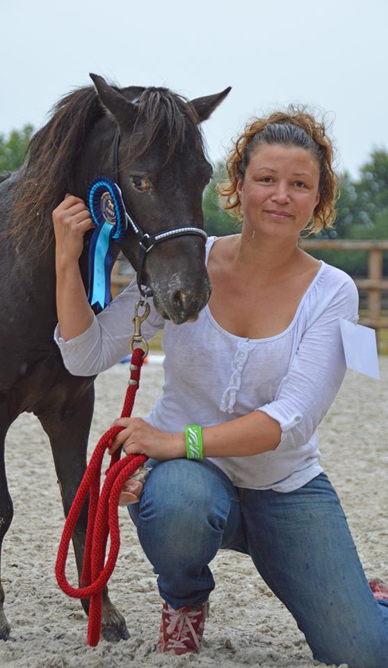 lovely saillenard 2014 étalon 4 ans remise prix ej 