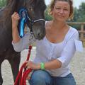 lovely saillenard 2014 étalon 4 ans remise prix ej 